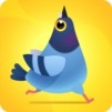 Thumbnail game - Pigeon Game