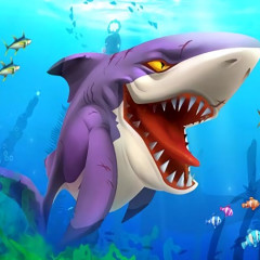 Hungry Shark